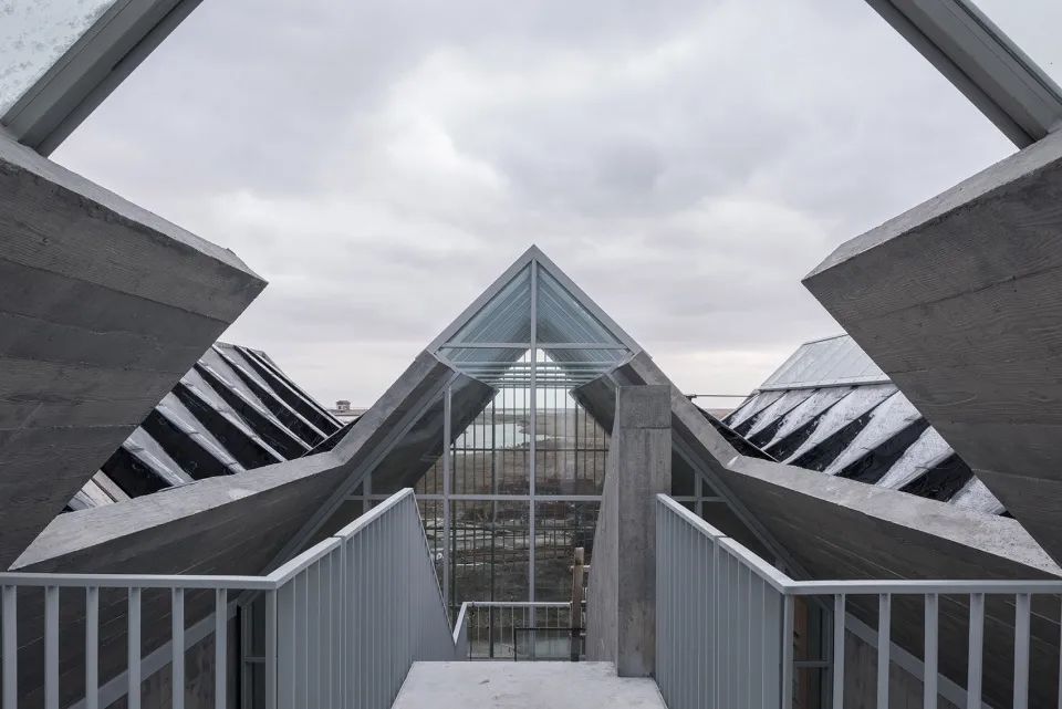 "一体两面"的崇明东滩湿地科研宣教中心-165