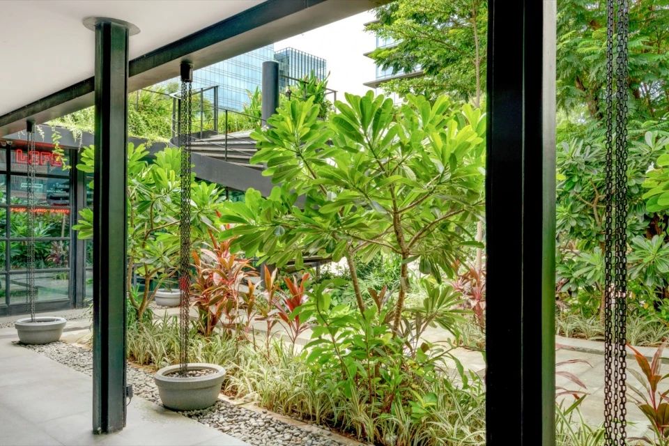 啤酒花园丨印度丨Studio Lotus 与 Studio Vikhroli 合作-17