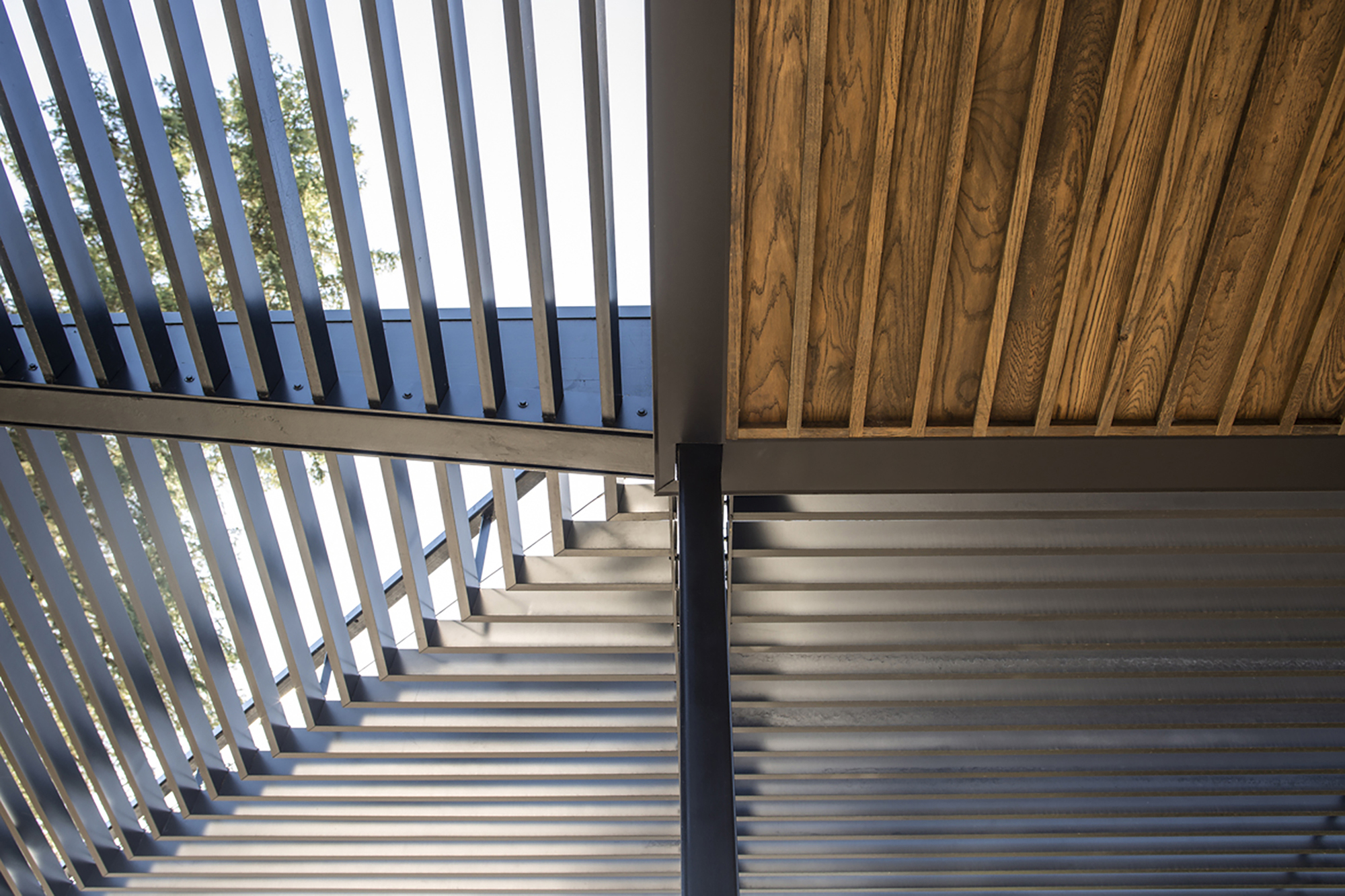 威拉米特泳池房丨美国俄勒冈丨Fieldwork Design and Architecture-28