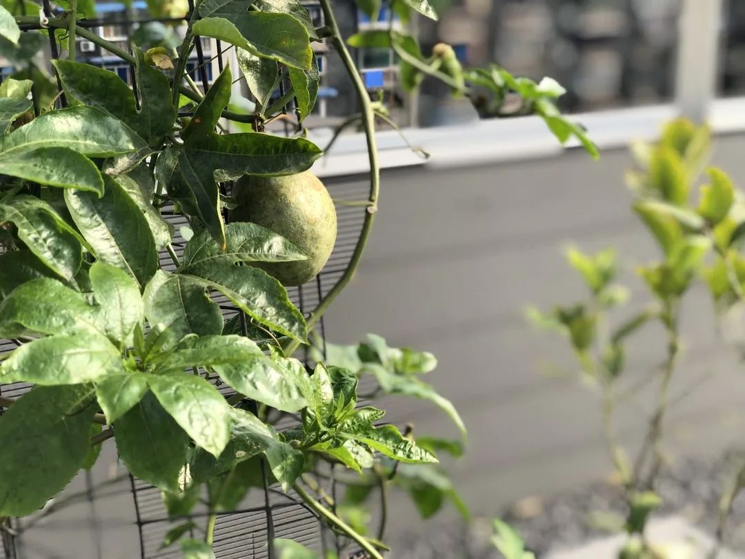 成都创想公社 | 从写字楼到创意仓库的蜕变-113