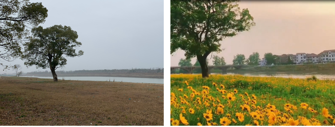 大溪滩香樟露营基地 | 中国美院风景建筑设计研究总院 | 中国浙江衢州-43