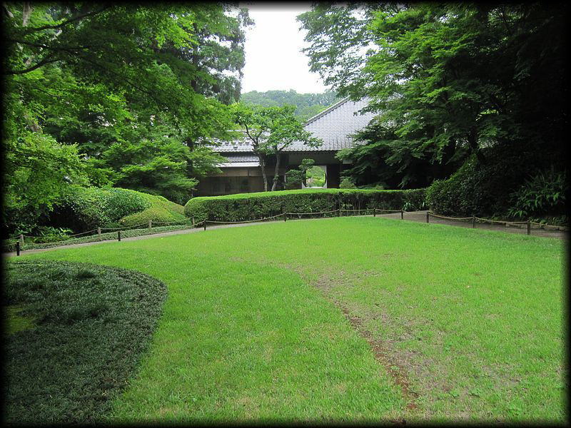明月院丨日本神奈川-3