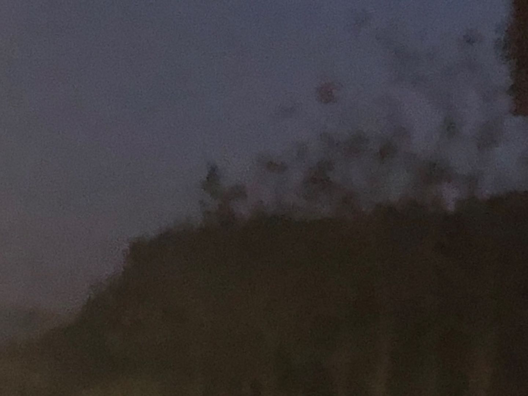 谢帆 | 从木桩到原点的艺术之旅-6