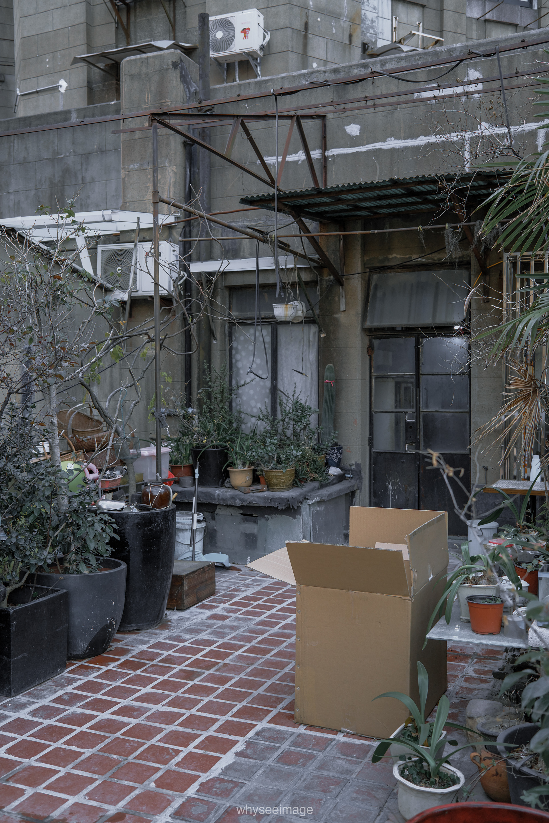 在被框选的画面之外 · 不如回到街头丨中国上海丨whyseeimage-69