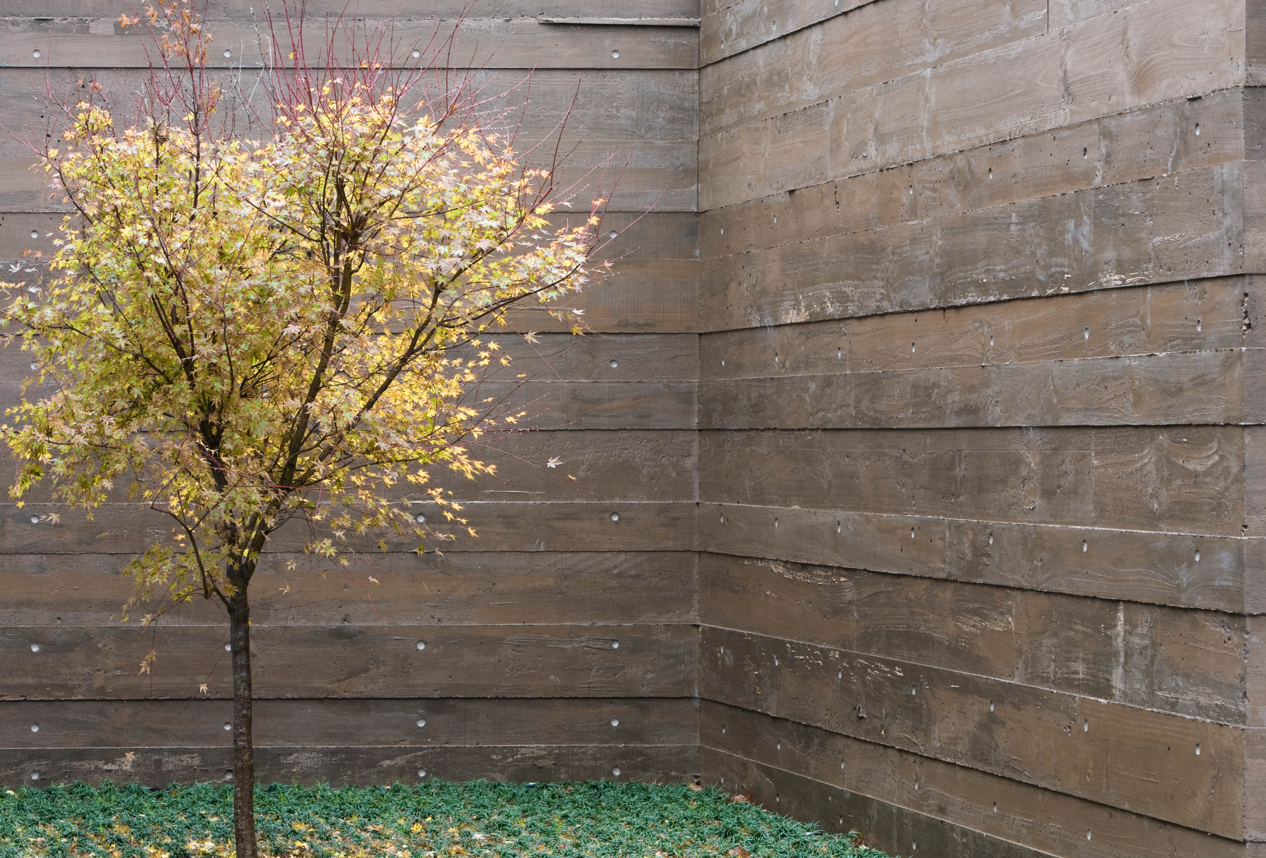 海滨私有住宅的永久感设计-10