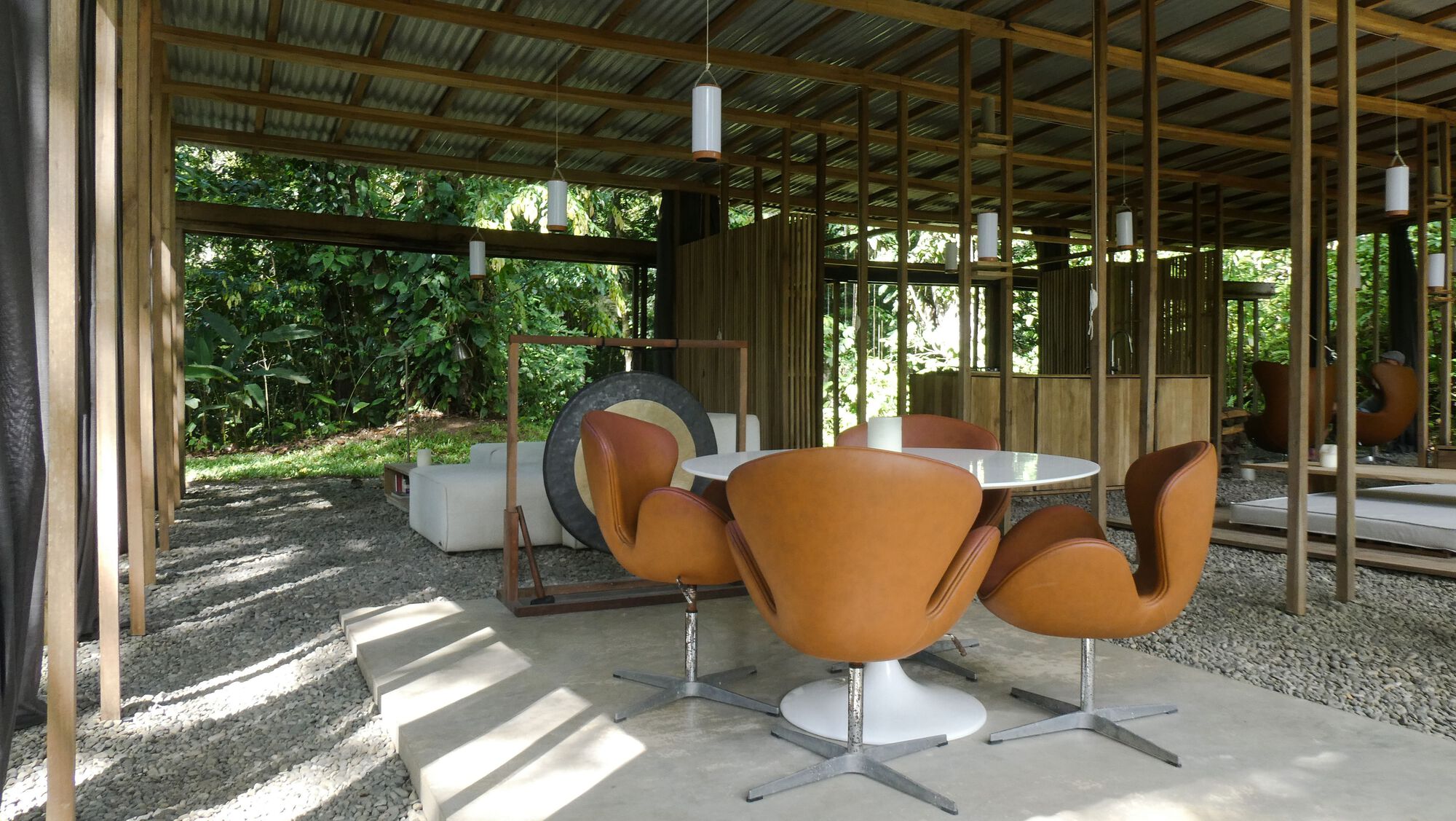 丛林开放日丨哥斯达黎加丨Ksymena Borczynska-19