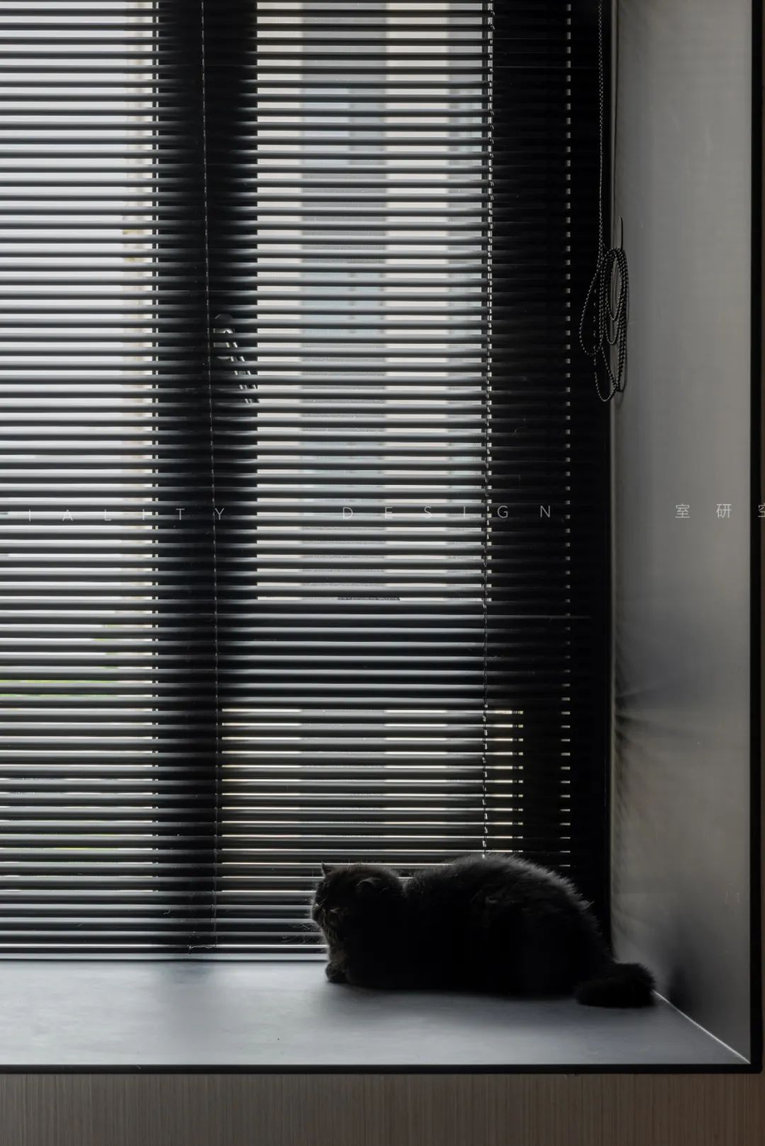 金地名悦现代风格猫舍设计丨室研设计-26