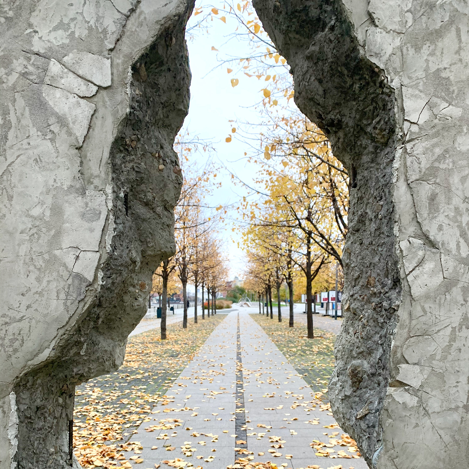 《The Berlin Wall's Crack》（《柏林墙的裂缝》）丨德国-11