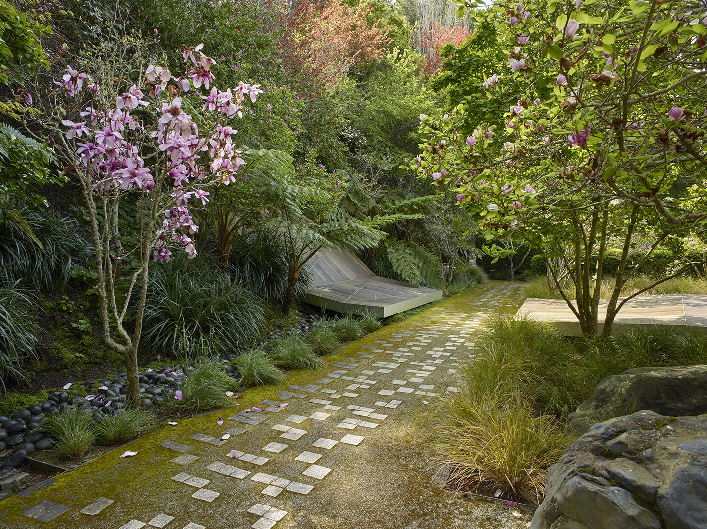 Hacienda Tiburon Landscape-9