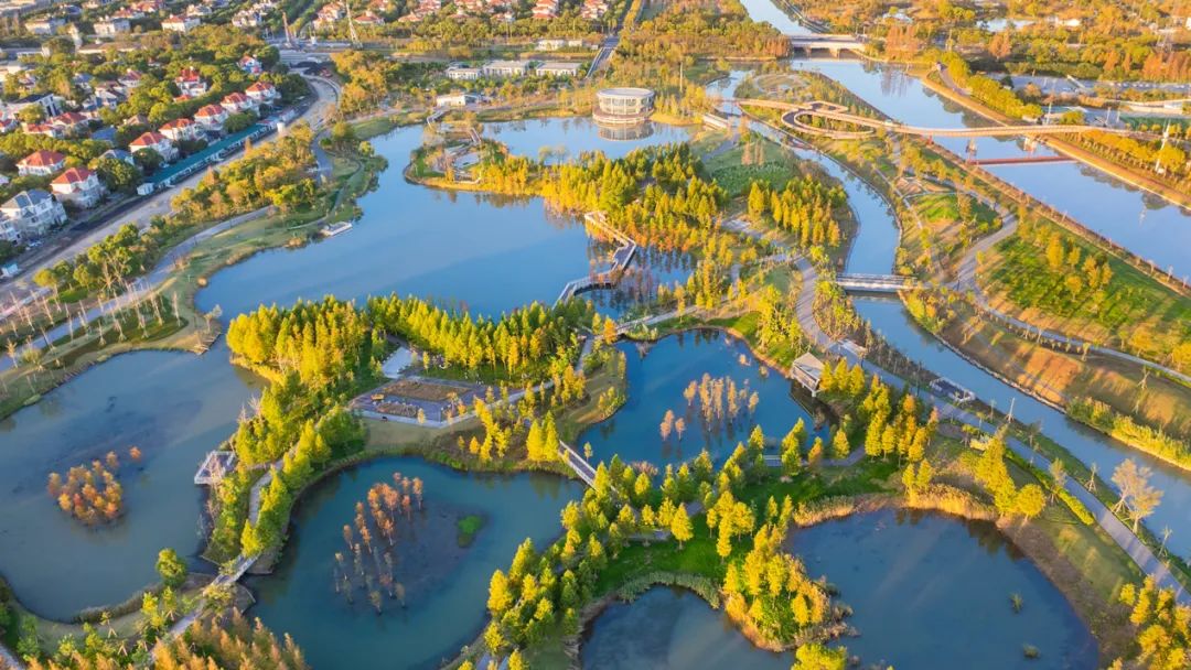 上海碧云绿地丨中国上海丨AECOM-29