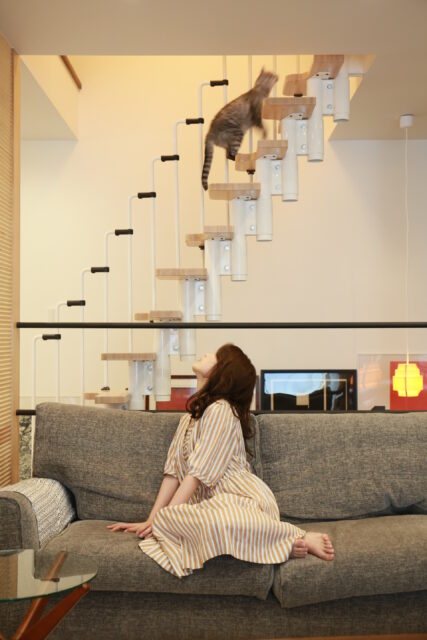 住吉山手の家（犬と猫と音楽の家）丨日本兵库丨ファウナ・プラス・デザイン一級建築士事務所-21