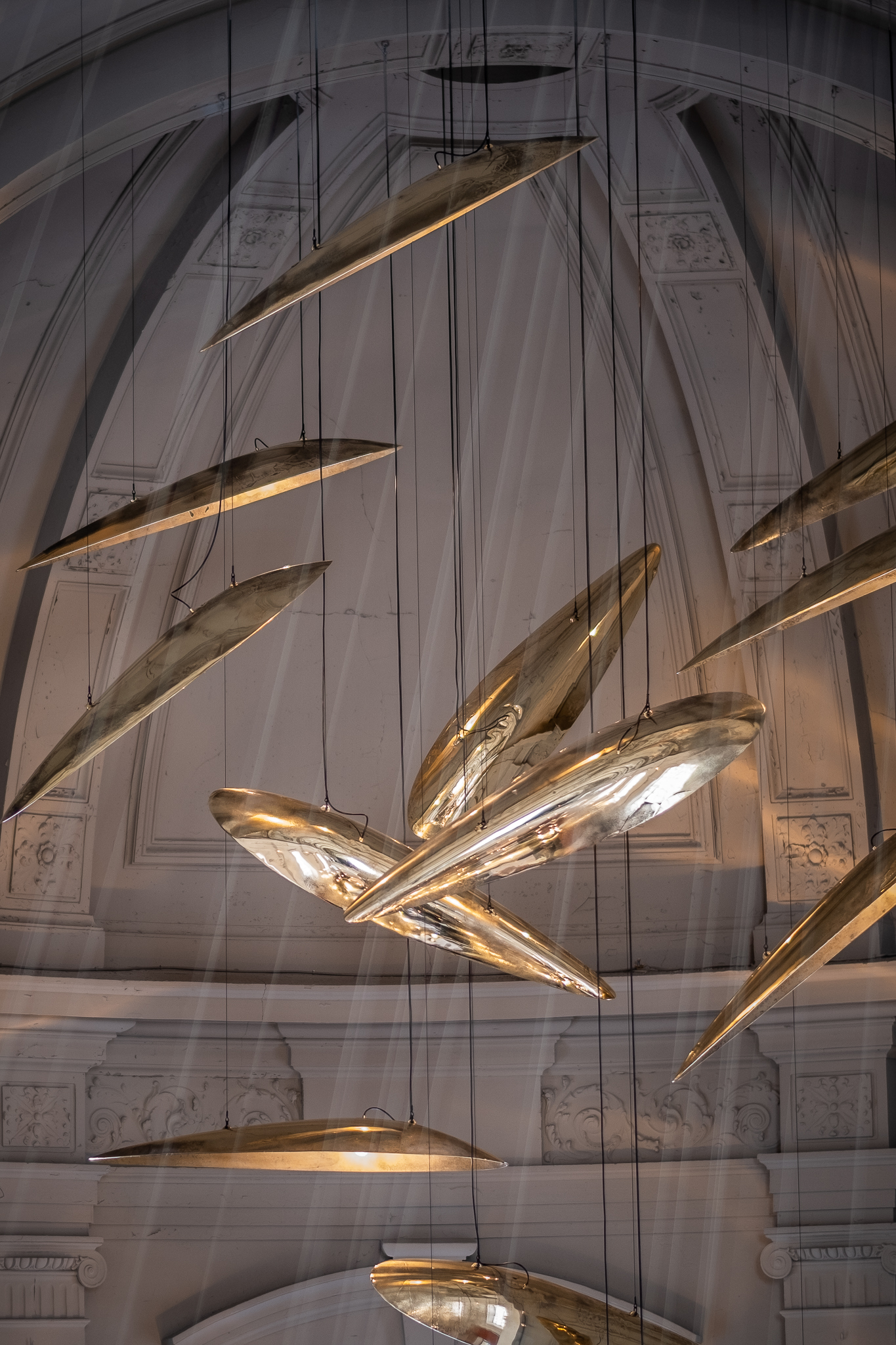 Sharks at The Jane - Dieter Vander Velpen Architects-1