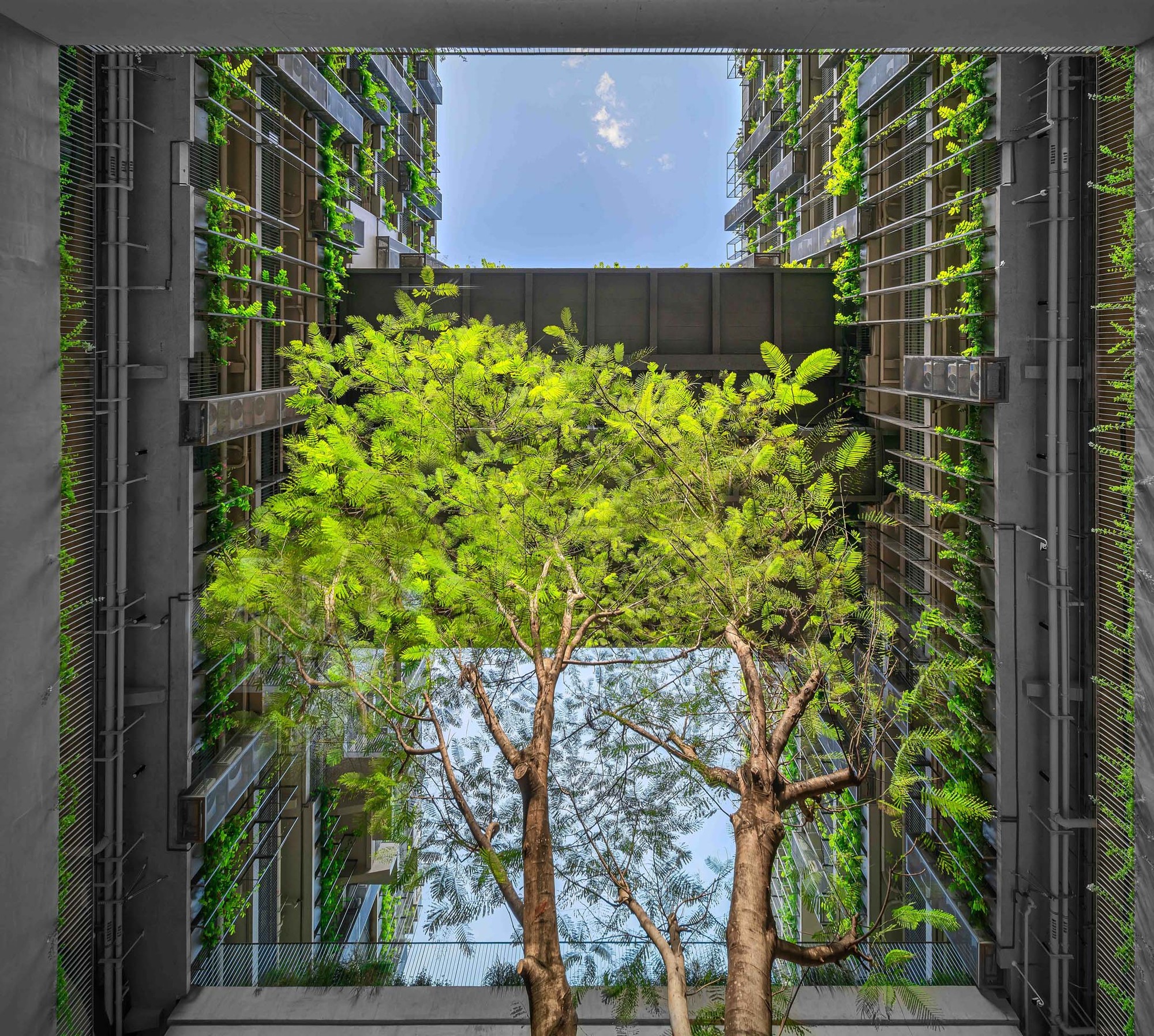 深圳国际教育学院丨中国深圳丨李晓东工作室-27