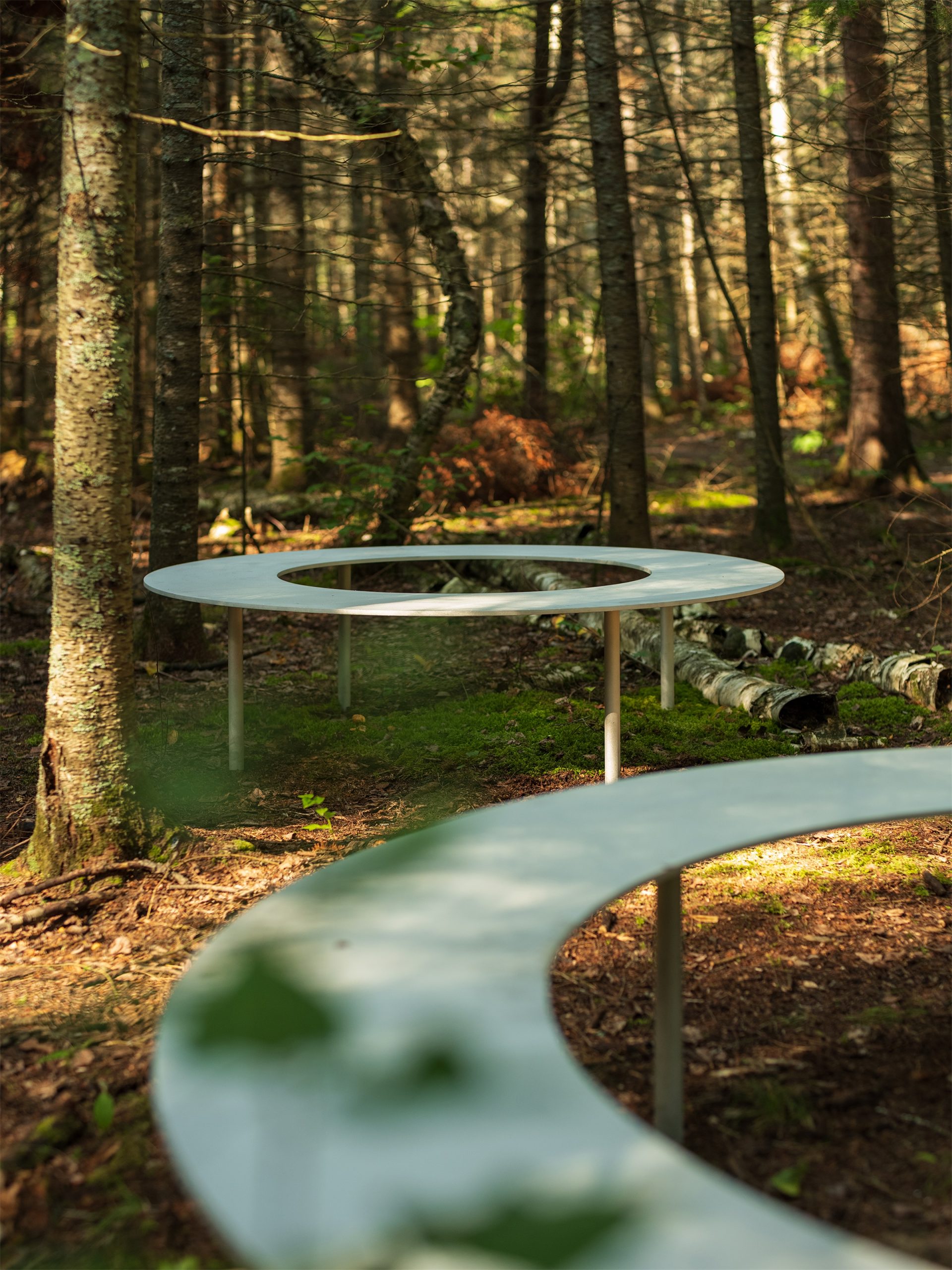 嵌套循环丨加拿大维多利亚丨Thom Fougere-11