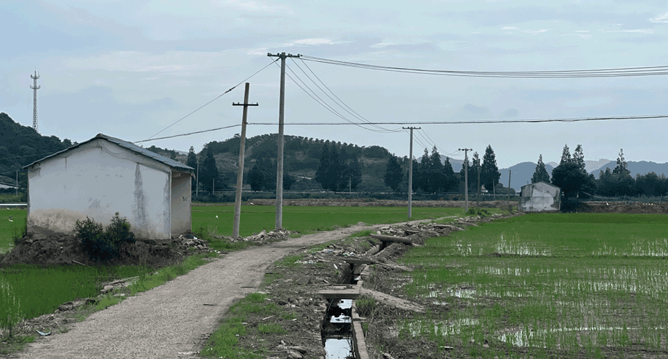 “云稻这里来”农文旅片区丨中国宁波丨猜一建筑 + Increments Studio-60