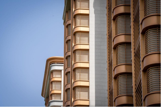 归心交付|亲鉴诗画家境,不负美好期待-63