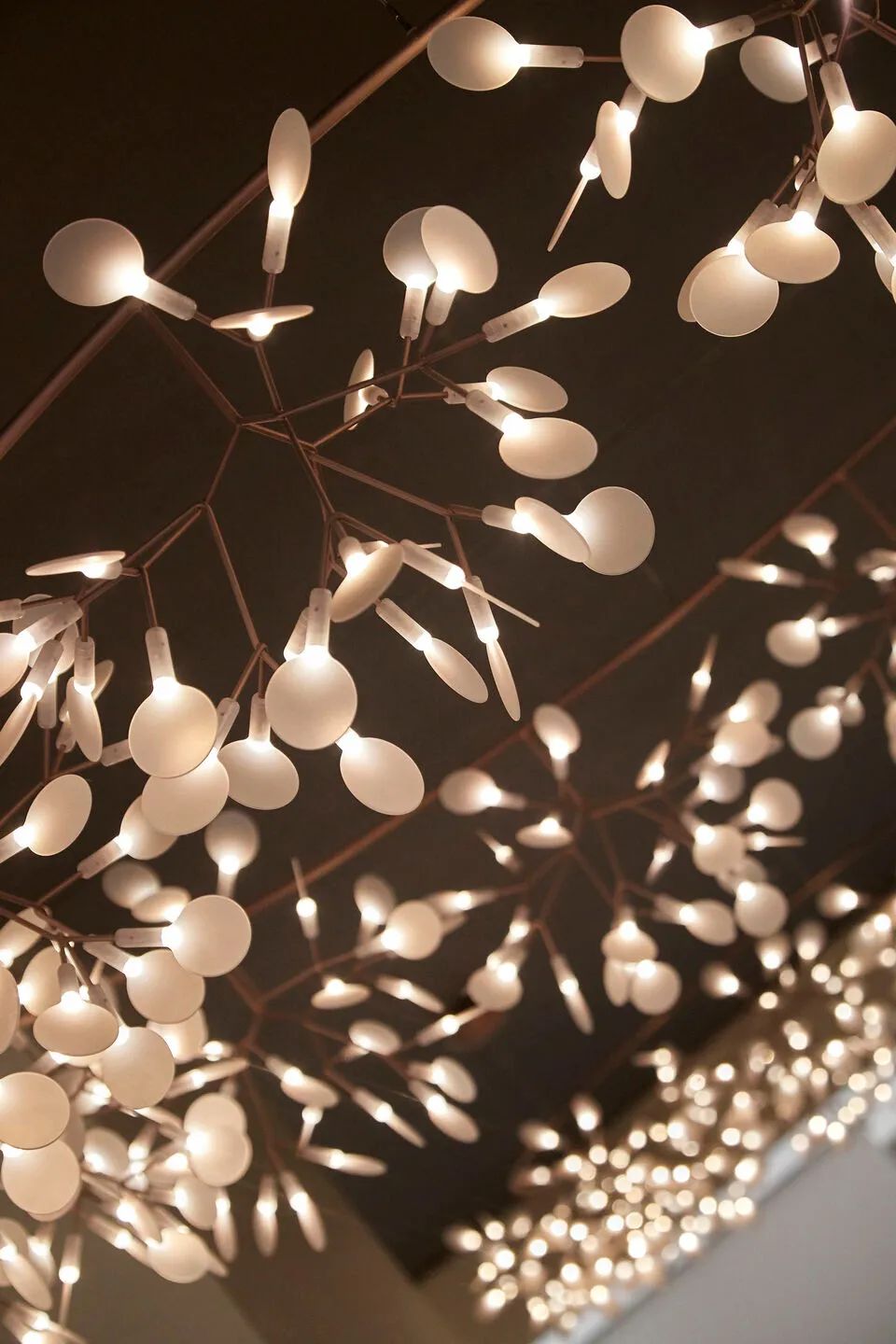 富兰克林广场现代化改造丨美国丨Hickok Cole-18