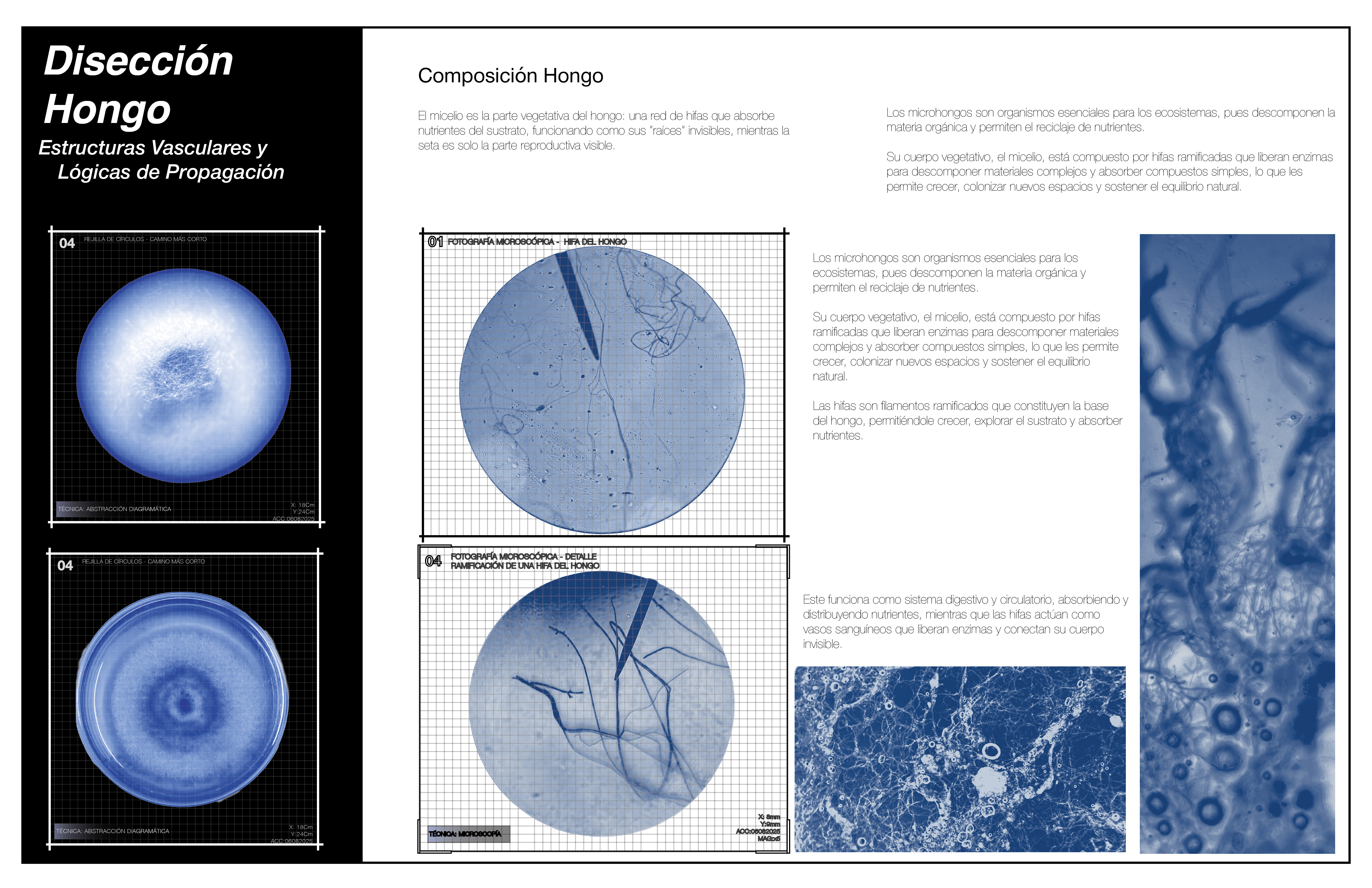PROFUNDIZACIÓN MATERIA GENERATIVA Y FUTUROS AGREGADOS-11