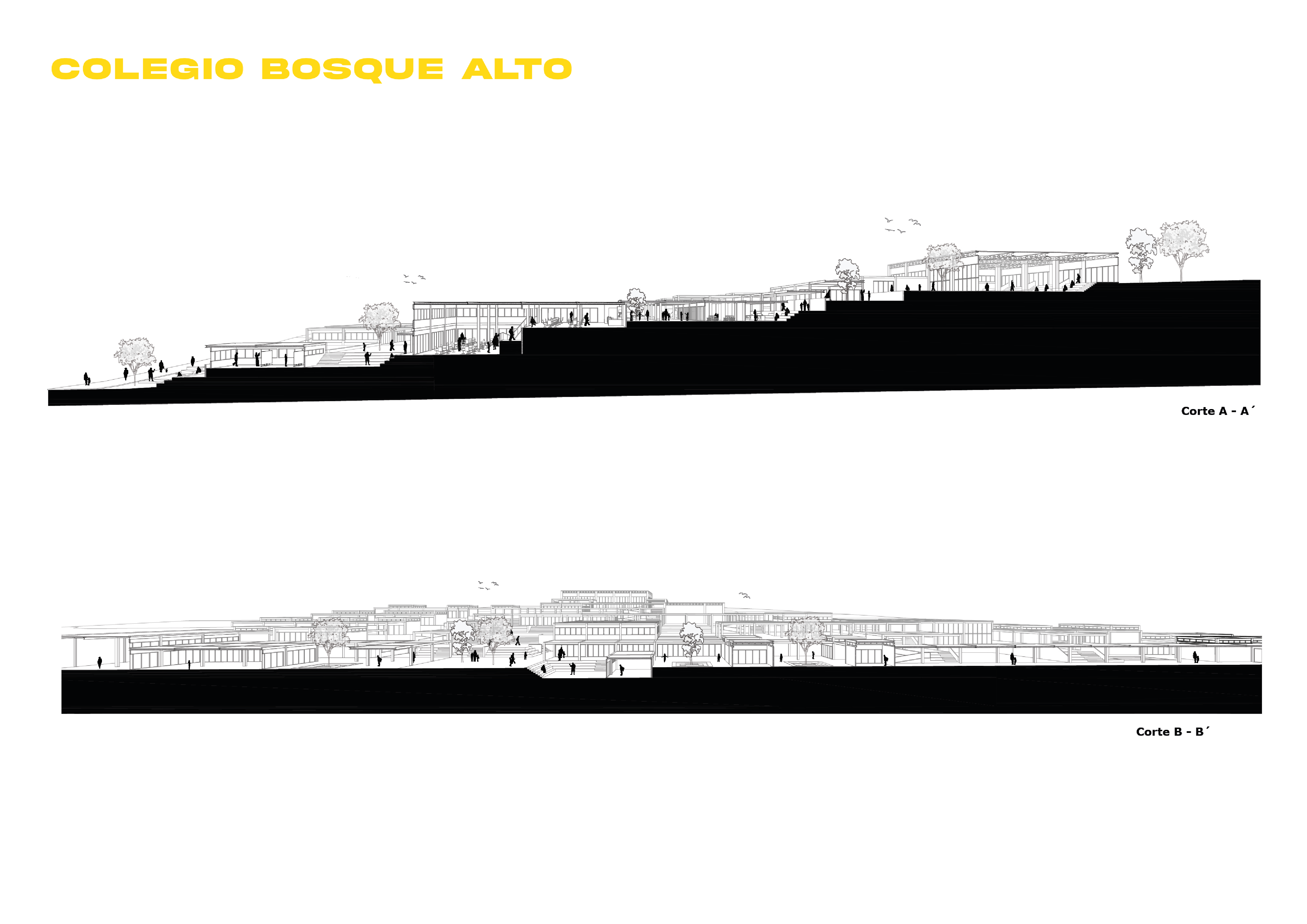 PORTFOLIO DAVID CHEME GARCIA-26