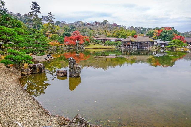 玄宮楽々園（含玄宮園,楽々園,彦根城）-7