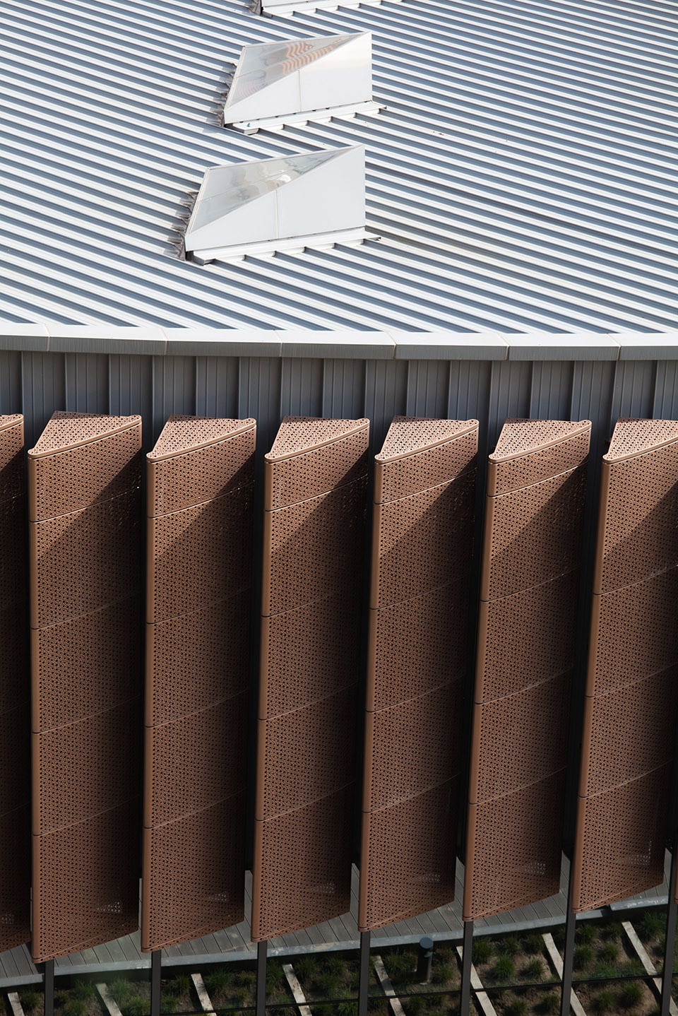 活力游鱼 | 上海科技大学体育馆设计解析-50