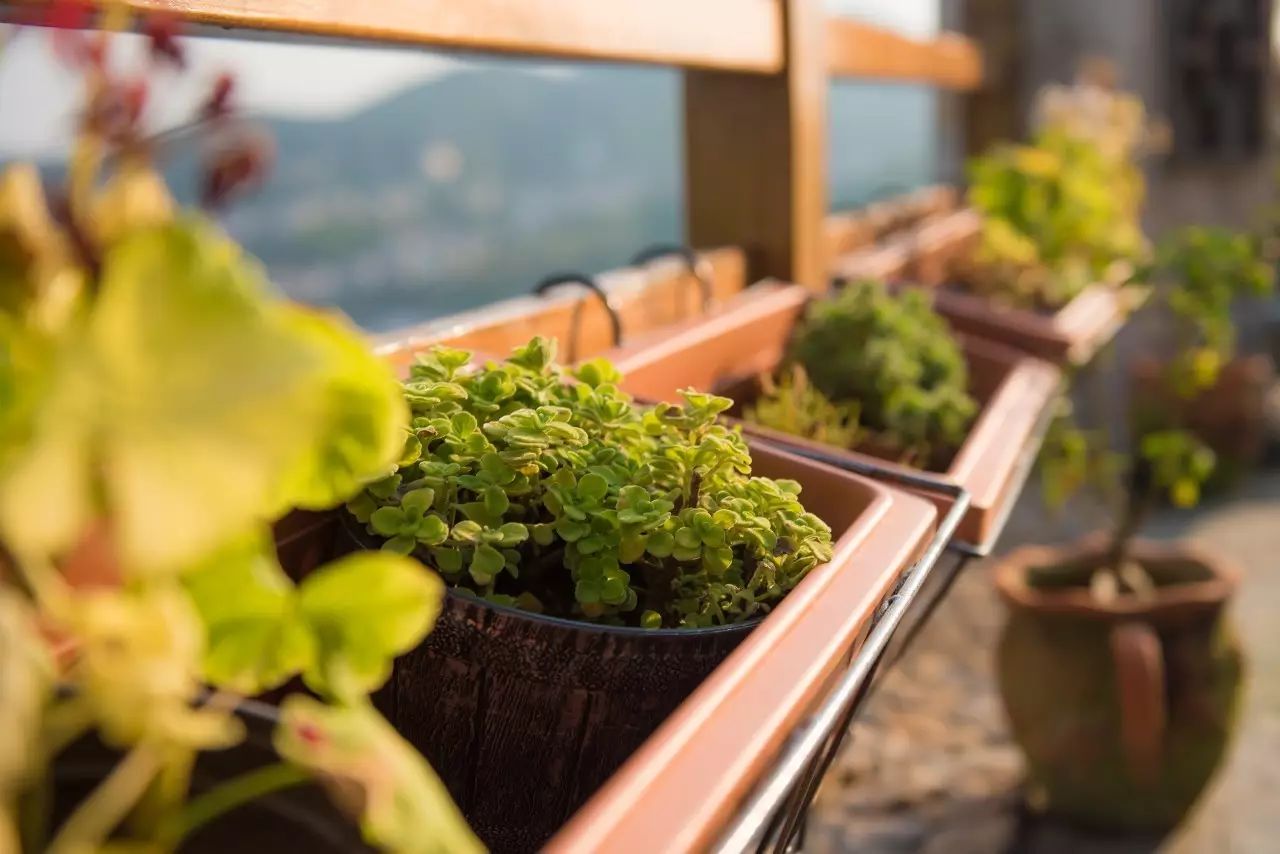 放弃百万年薪，回乡在海边建起一座石头房，他在追梦途中找到了诗和远方！-85