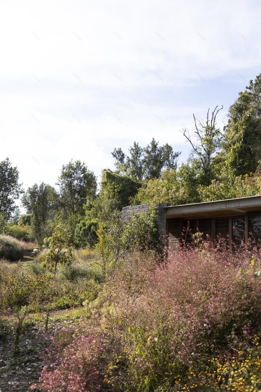 草甸景观设计-10