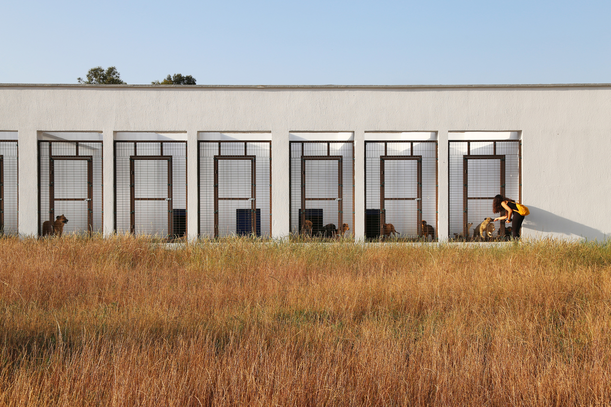 Pako Street Animal Social Life Campus  / Mert Uslu Architecture-24