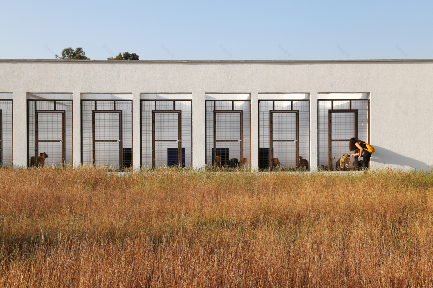 Pako Street Animal Social Life Campus / Mert Uslu Architecture-24