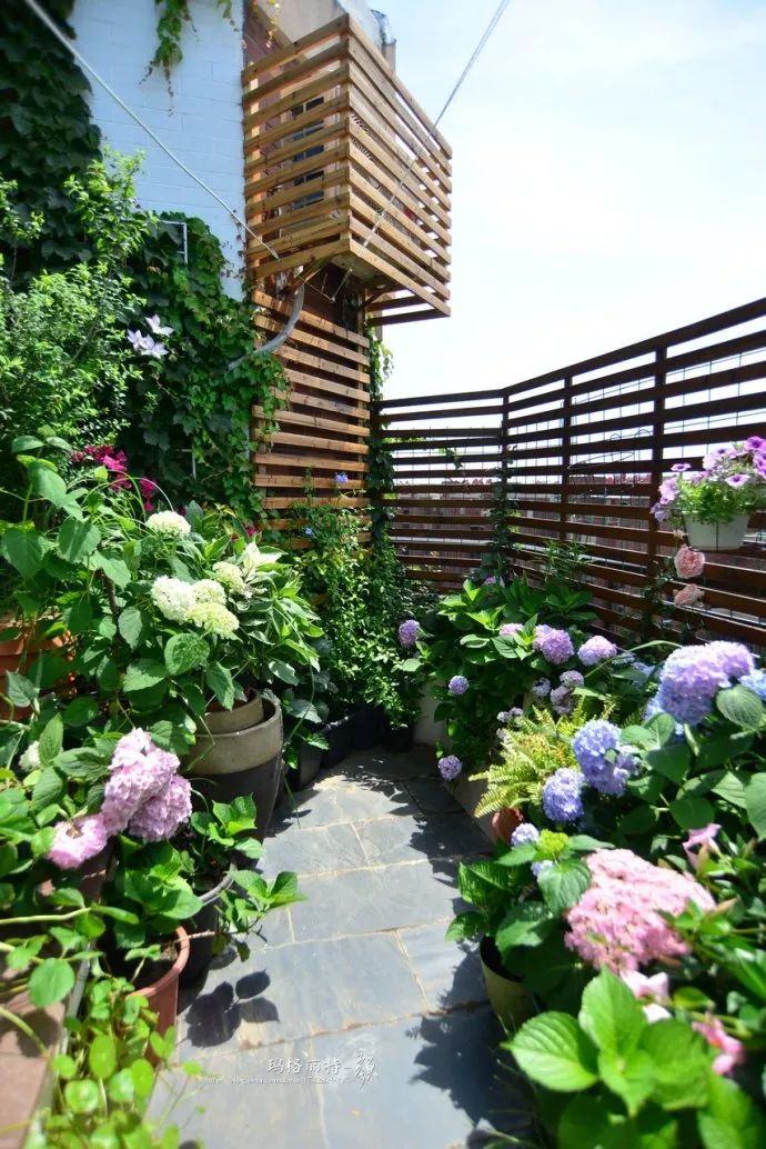 她在楼顶悄悄建了一座梦想花园，美翻了！这才是把日子过成诗的样子-125