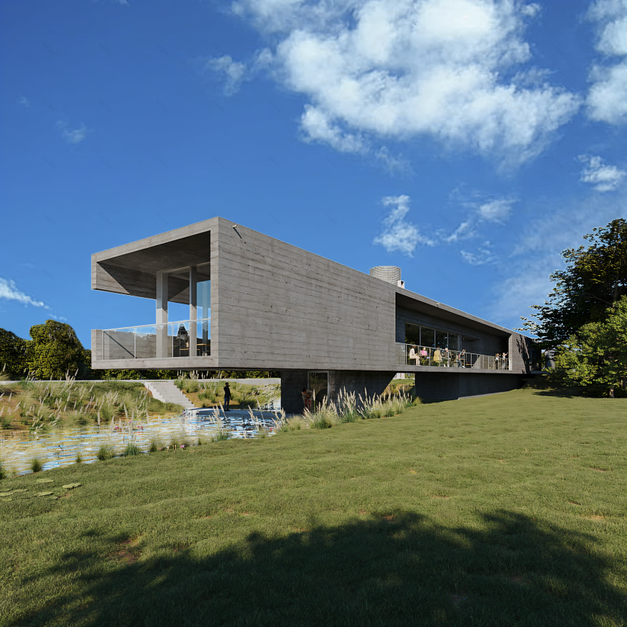 Swan Lake(天鹅湖)-9