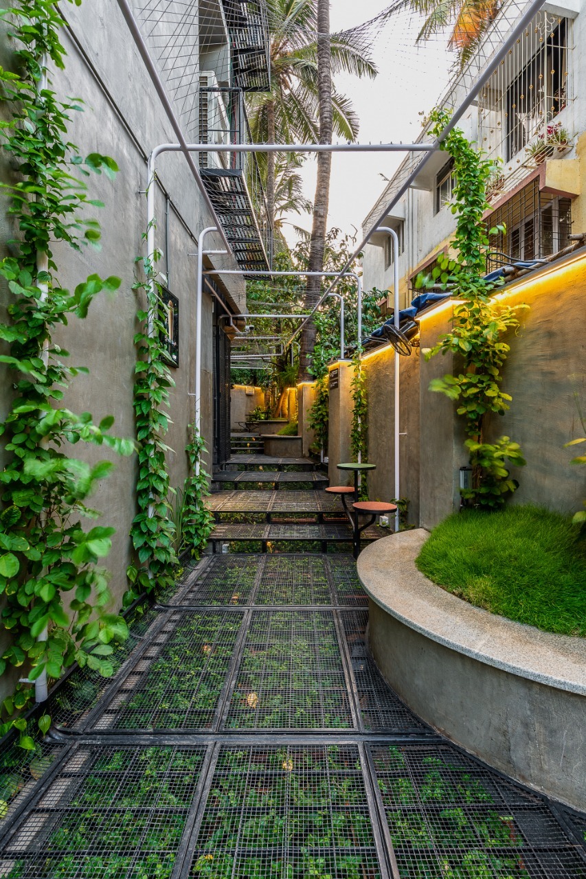 Naturals Now Shop / Drink Water Design Studio-28