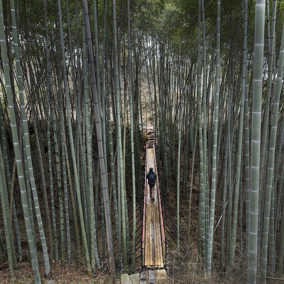 大别山森林徒步道(竹林·大松树段)丨中国安徽丨傅英斌工作室-27