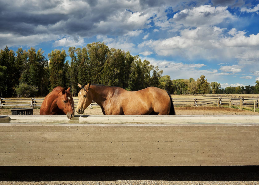 Black Fo· Ranch 牧场设计丨美国怀俄明丨CLB Architects-41
