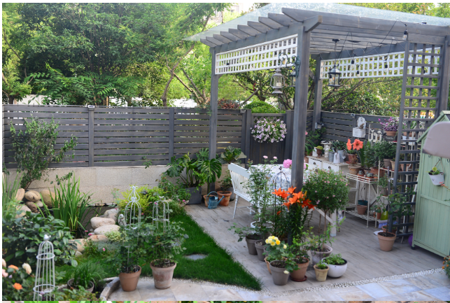 她花一万元，在院子里建了个“原生态鱼池”，太漂亮了！-3