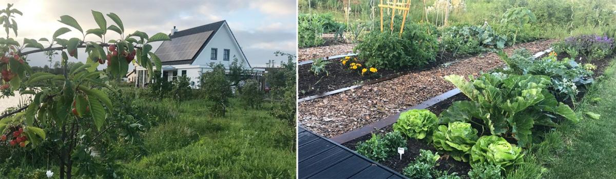 丨NetherlandsAlmere-11