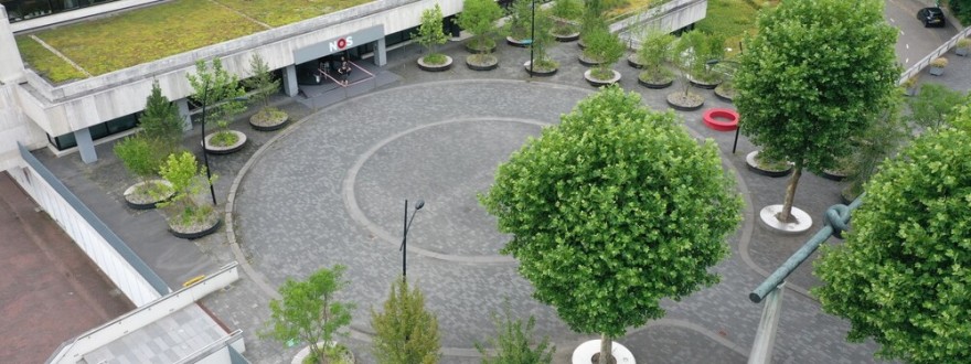 NOS 绿化新闻广场及露台丨荷兰丨NOS Grasveld 园林与景观建筑师事务所-25