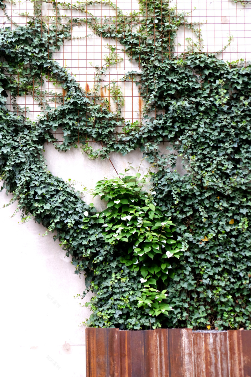 苏黎世 Maag 广场的工业风变身-8