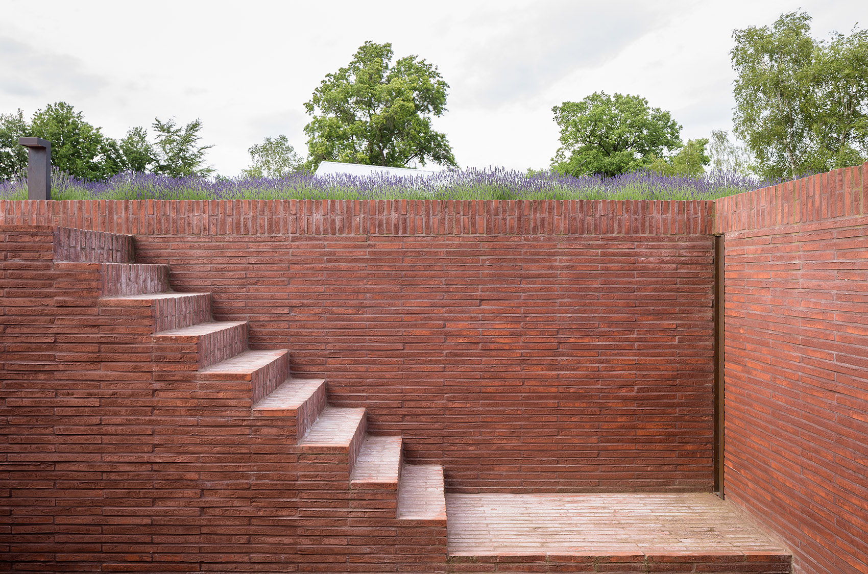 Olmen住宅，比利时 / Pascal François Architects-31