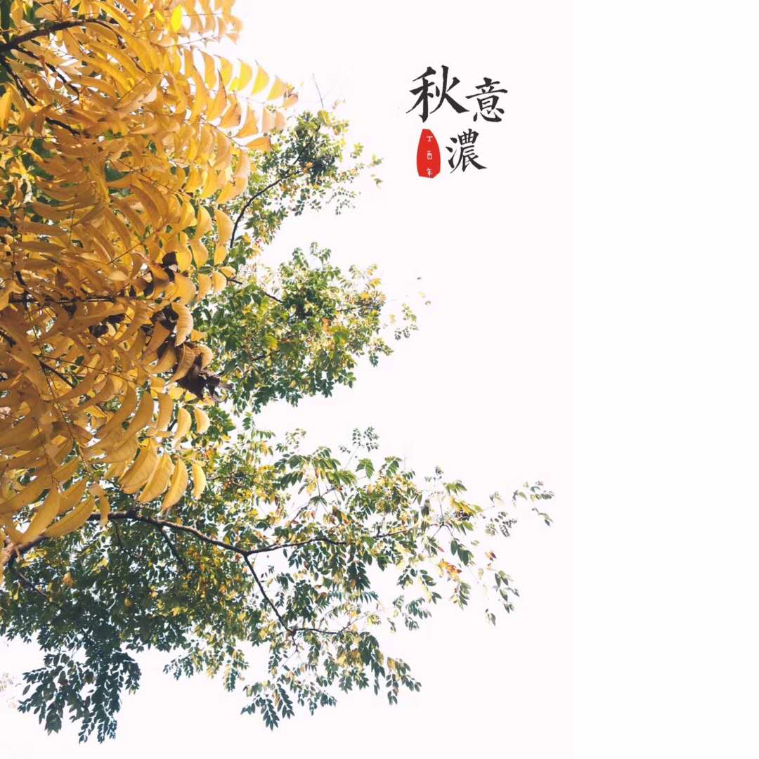 娄江河畔的秋日狂想曲·79design 昆山江南理想平层设计-3