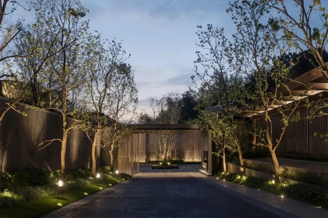 园路列植设计丨上景总工办-61