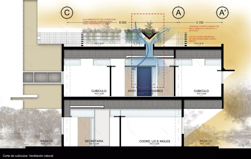 墨西哥尤卡坦自治大学教育学院 | 建筑系的 Departamento de Proyectos 设计团队-72