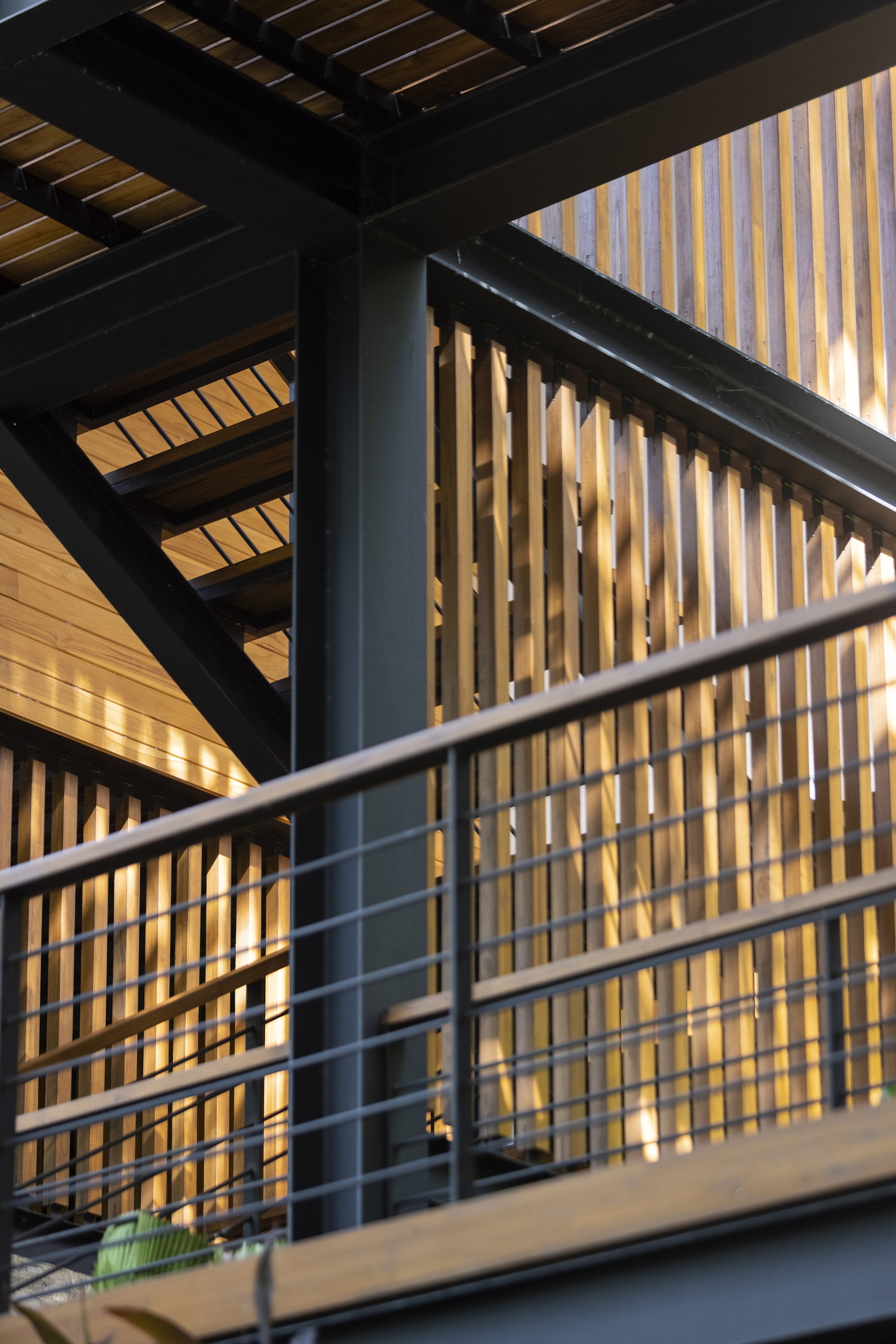 树屋丨哥斯达黎加丨Casalvolone Arquitectura-29