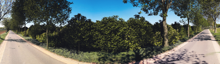 Solar park visualizations - panoramic photomontages-13