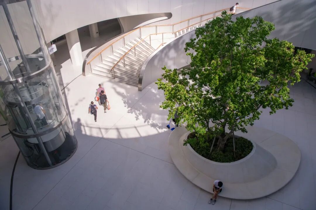 ASLA获奖作品 连接过去和未来的城市绿洲——嘉兴火车站景丨中国嘉兴丨致舍景观-59