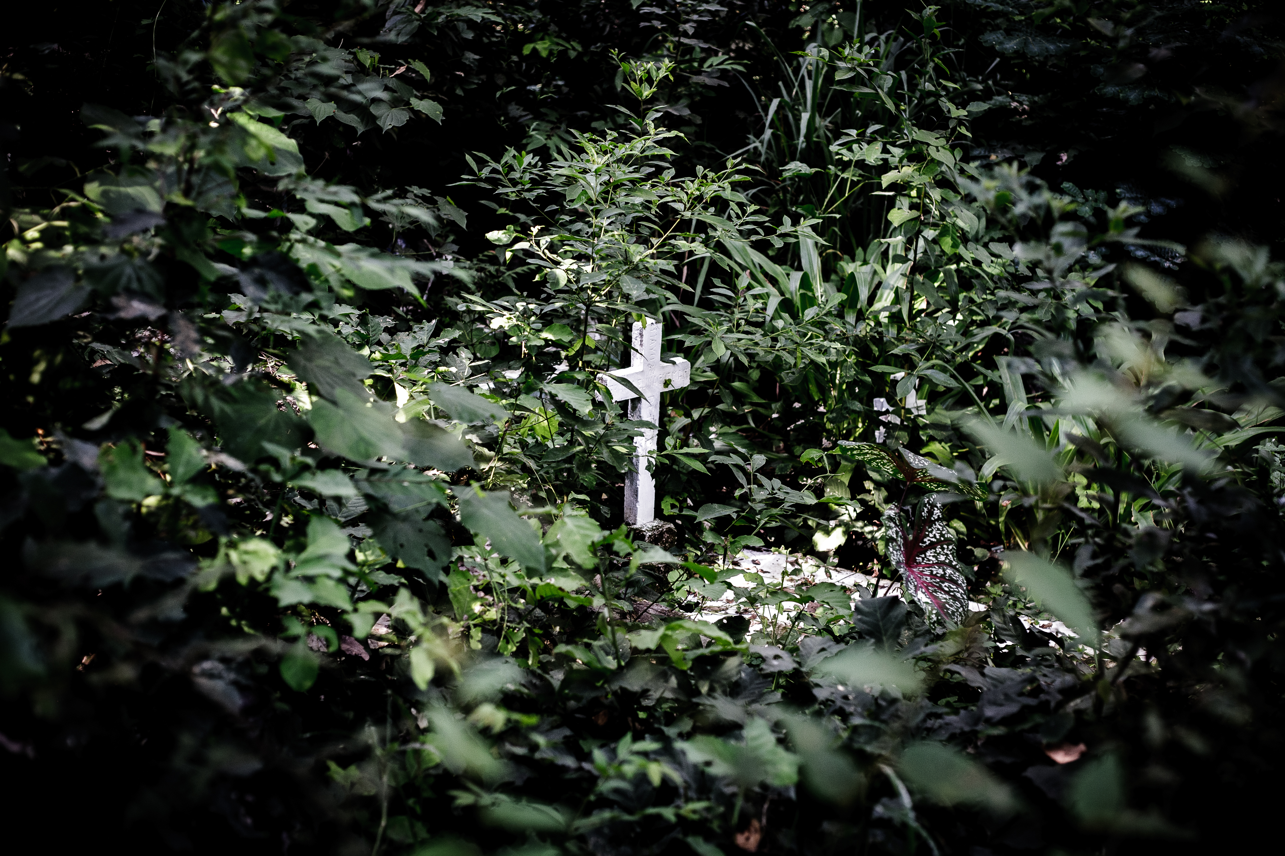 LA BELLEZA CONTRA LA INFAMIA-11