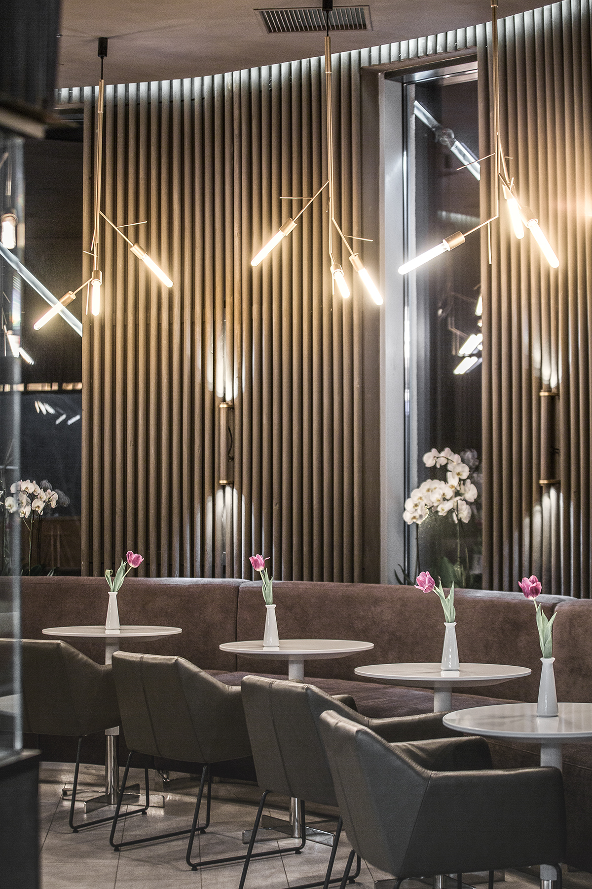 糖果店贾斯特-14