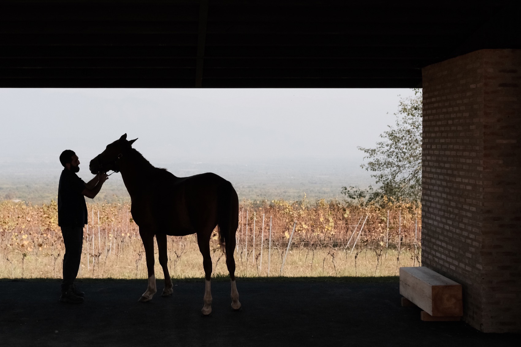 葡萄园马厩,格鲁吉亚丨Kera-45