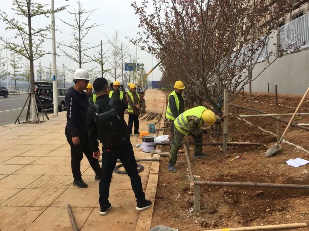 融创·海逸长洲(大区)-98