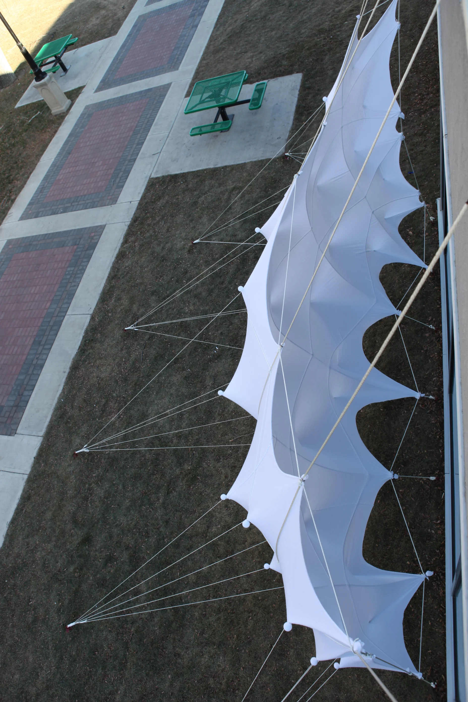 蜂群；一群（昆虫、人等）；一大群；蜂拥而至；成群移动；云集丨加拿大丨Lancelot Coar-13